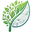 ByteBloom